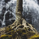Tend the Root